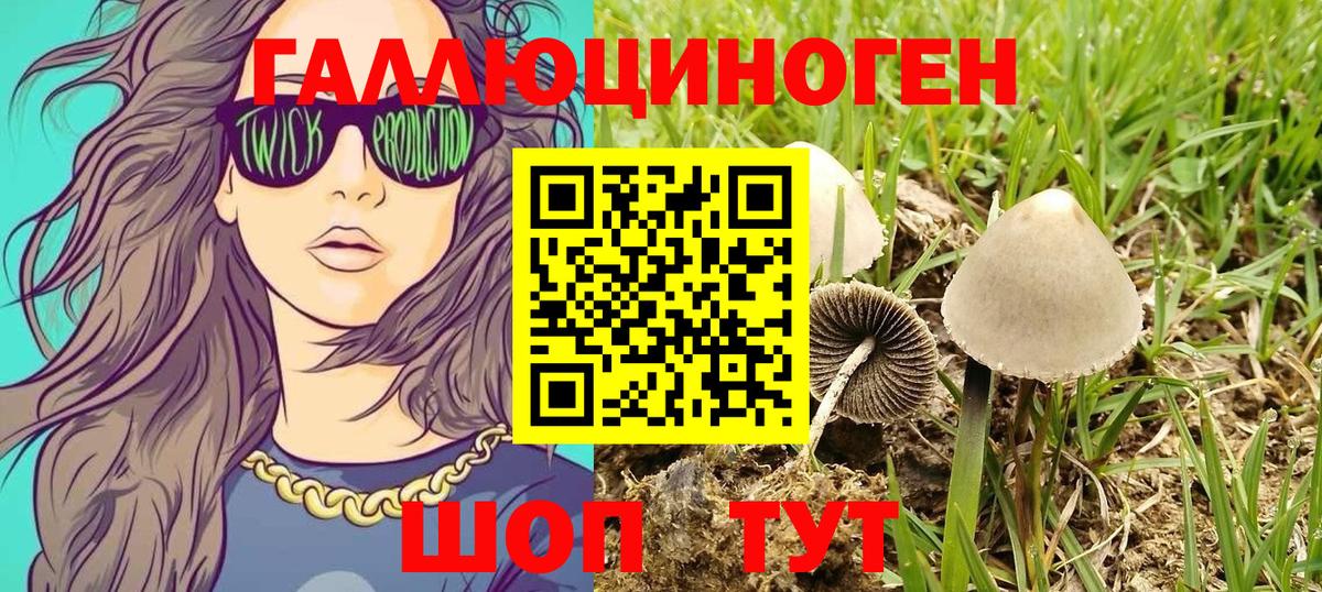 Якутск  Псилоцибиновые грибы мухоморы  Вход с VPN 