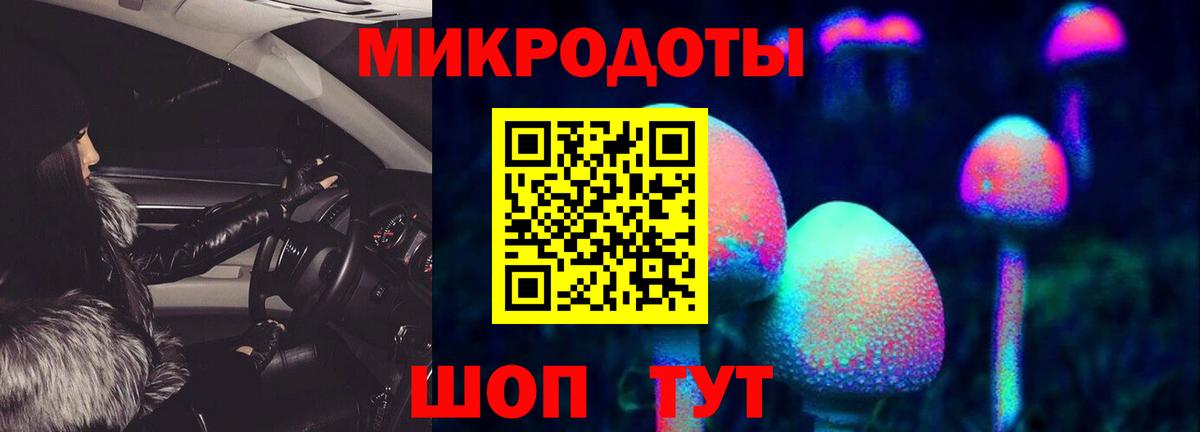 Псилоцибиновые грибы Psilocybe Якутск